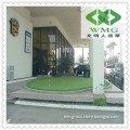 Artificial Grass Turf Landscape